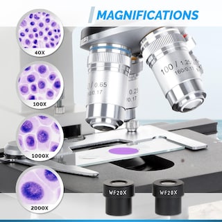 Foto 5 | Foto 5 | Microscopio Compuesto Binocular Led Serie Omax M82e De Laboratorio - Venta Internacional.