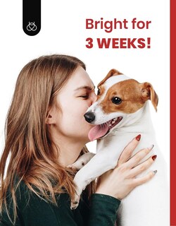 Foto 6 | Foto 6 | Set De Esmaltes De Uñas En Gel Beetles Pink Fall In Love Collection - Venta Internacional.