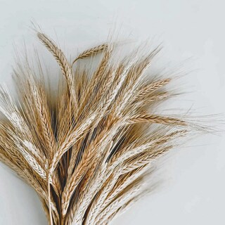 Foto 3 | Foto 3 | Gel De Peinado Eco Style Krystal Añade Cuerpo Y Brillo, 240 Ml - Venta Internacional.