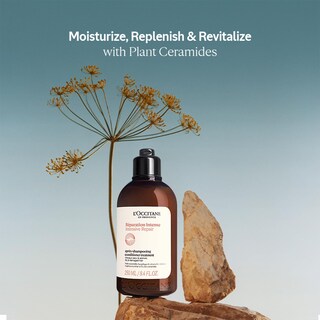 Foto 3 | Foto 3 | Acondicionador L'occitane Intensive Repair 250 Ml - Venta Internacional.