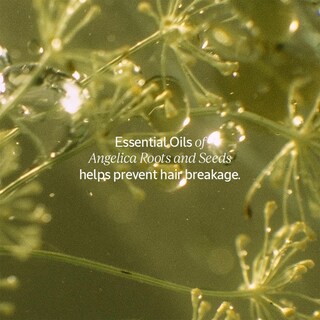 Foto 7 | Foto 7 | Acondicionador L'occitane Intensive Repair 250 Ml - Venta Internacional.