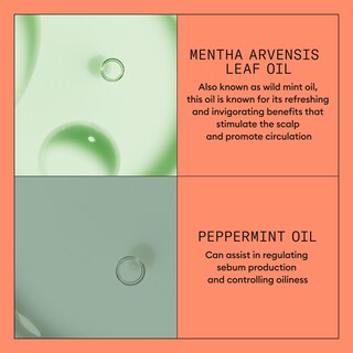 Foto 6 | Foto 6 | Acondicionador Nioxin System 4 Scalp Therapy, 1 Litro, Teñido - Venta Internacional.