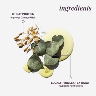 Foto 4 | Foto 4 | Acondicionador Pureology Hydrate Sheer Nutritive 250 Ml, Vegano - Venta Internacional.
