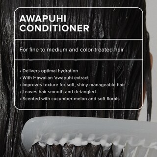 Foto 2 | Foto 2 | Acondicionador Paul Mitchell Awapuhi Lightweight Rinse, 1 Litro - Venta Internacional.