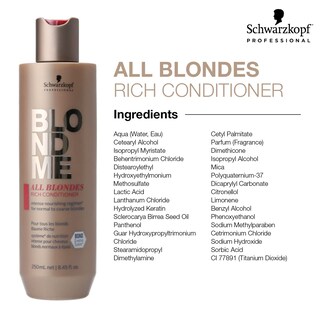 Foto 4 | Foto 4 | Acondicionador Blondme All Blondes Rich 250 Ml - Venta Internacional.