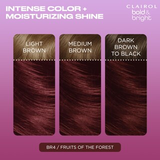 Foto 3 | Foto 3 | Tinte Para El Cabello Clairol Bold & Bright Br4 Fruits Of The Forest - Venta Internacional.