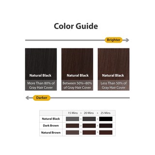 Foto 3 | Foto 3 | Tinte Para El Cabello Dashu Color Fast Change Coloring Black Para Hombre - Venta Internacional.