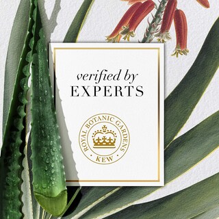 Foto 6 | Foto 6 | Champú Y Acondicionador Herbal Essences Aloe 600 Ml, Paquete De 2 - Venta Internacional.