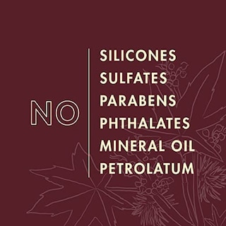 Foto 6 | Foto 6 | Champú y Acondicionador Sheamoisture con Aceite de Coco- Venta Internacional