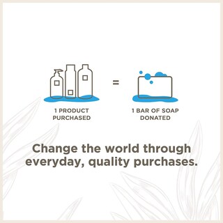 Foto 4 | Foto 4 | Set De Champú Y Acondicionador Soapbox Con Aceite De Árbol De Té, 1 Litro - Venta Internacional.