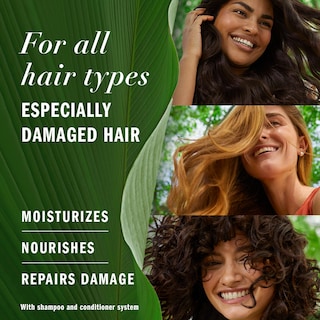 Foto 2 | Foto 2 | Set De Champú Y Acondicionador Herbal Essences Argan Oil Repair - Venta Internacional.