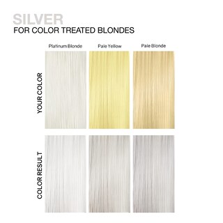 Foto 4 | Foto 4 | Cuidado Del Cabello Celeb Luxury Viral Silver Healthy Duo - Venta Internacional.