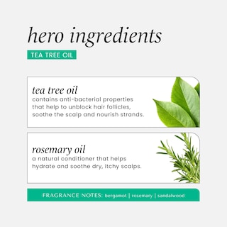 Foto 4 | Foto 4 | Set De Cuidado Capilar Hask Tea Tree Revitalizing Dry Shampoo X2 - Venta Internacional.