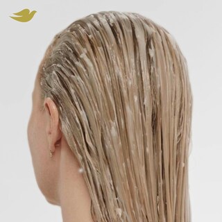 Foto 6 | Foto 6 | Set Para El Cuidado Del Cabello Champú Y Acondicionador Dove Bond Strength - Venta Internacional.