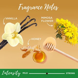 Foto 6 | Foto 6 | Acondicionador Sin Enjuague Garnier Whole Blends Miracle Nectar 150 Ml - Venta Internacional.