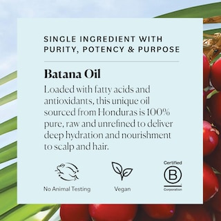 Foto 6 | Foto 6 | Aceite De Batana Sky Organics 120 Ml, 100% Crudo Y Sin Refinar, Vegano - Venta Internacional.