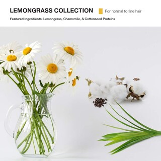Foto 2 | Foto 2 | Spray Mop Lemongrass Para Aumentar El Volumen De Las Raíces, 250 Ml - Venta Internacional.