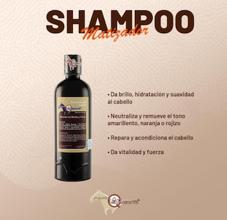 Foto 5 | Foto 5 | Caja Shampoo Matizador De Mechas Y Canas Yeguada La Reserva Tratamiento Matizante, Elimina Tonos Deslavados. 500 Ml. (12pzs)