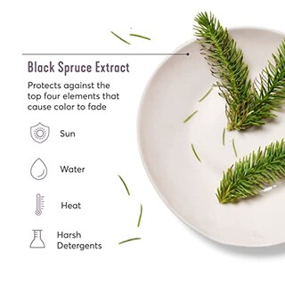 Foto 6 | Foto 6 | Shampoo Madison Reed Volumen Total sin Sulfatos 250 ml - Venta Internacional