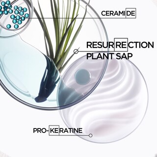 Foto 7 | Foto 7 | Champú Kerastase Resistance Force Architecte Reconstructive - Venta Internacional.
