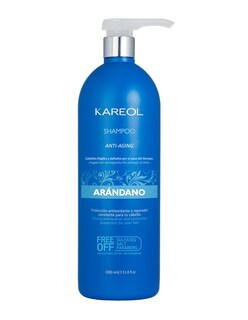 Foto 1 | Foto 1 | Shampoo Kareol Arándano Anti Edad 1 Litro