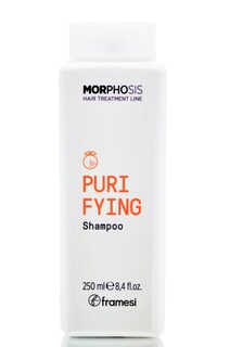 Foto 1 | Foto 1 | Champú Framesi Morphosis Purificante 250ml - Venta Internacional.