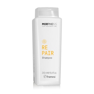Foto 1 | Foto 1 | Champú Framesi Morphosis Repair 250 Ml Que Hidrata El Cabello - Venta Internacional.