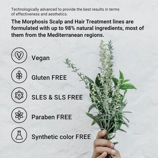 Foto 2 | Foto 2 | Champú Framesi Morphosis Repair 250 Ml Que Hidrata El Cabello - Venta Internacional.