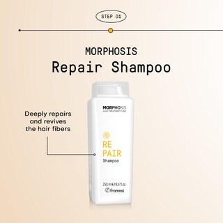 Foto 3 | Foto 3 | Champú Framesi Morphosis Repair 250 Ml Que Hidrata El Cabello - Venta Internacional.