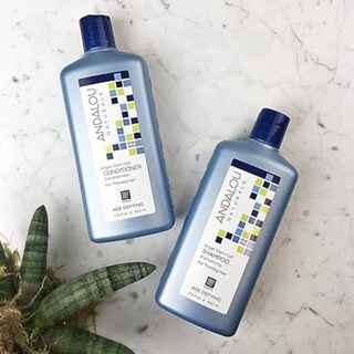Foto 3 | Foto 3 | Champú Andalou Naturals Con Células Madre De Argán Antienvejecimiento, 340 Ml - Venta Internacional.