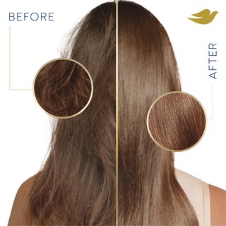 Foto 6 | Foto 6 | Champú Dove Damage Therapy Daily Moisture 600 Ml Para Cabello Seco - Venta Internacional.