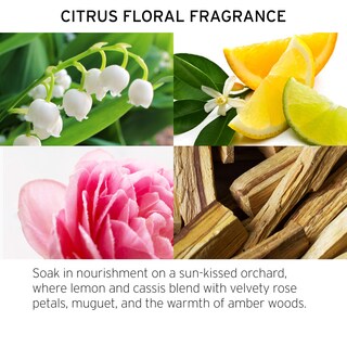 Foto 4 | Foto 4 | Champú Fekkai Technician Color 1 L Vegano - Venta Internacional