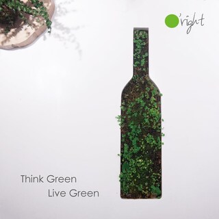 Foto 3 | Foto 3 | Shampoo Dandelion 400ml Cuidado Cuero Cabelludo O’right