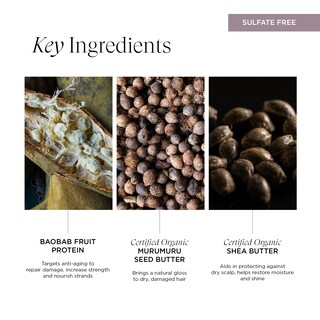 Foto 4 | Foto 4 | Champú Intelligent Nutrients Fortifi-hidratante Capilar 250 Ml - Venta Internacional.