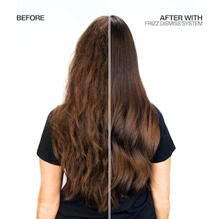 Foto 7 | Foto 7 | Champú Redken Frizz Control/dismiss Anti Frizz, 300 Ml, Sin Sulfatos - Venta Internacional.