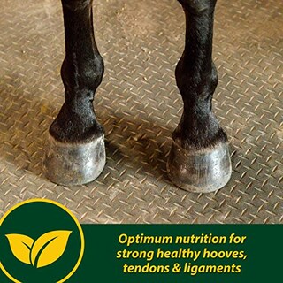 Foto 2 | Foto 2 | Suplemento Farnam Horseshoer's Secret Extra Strength 1,7 Kg - Venta Internacional.