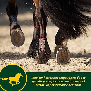Foto 5 | Foto 5 | Suplemento Farnam Horseshoer's Secret Extra Strength 1,7 Kg - Venta Internacional.