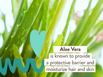 Foto 4 | Foto 4 | Shampoo & Wash Babo Botanicals Eucalyptus Remedy - Venta Internacional.