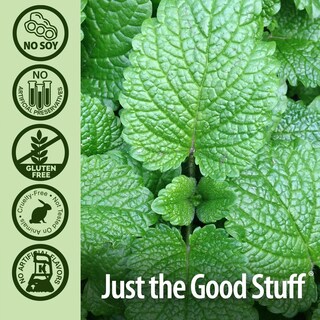 Foto 5 | Foto 5 | Pasta De Dientes Nature's Answer Periobrite Cool Mint 120 Ml (paquete De 2) - Venta Internacional.