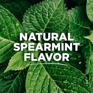 Foto 3 | Foto 3 | Pasta de Dientes Tom's Of Maine Antiplaca sin Flúor 160 ml - Venta Internacional