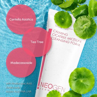 Foto 4 | Foto 4 | Espuma Limpiadora Dermalogy De Neogenlab Calming Cica Tree 200 Ml - Venta Internacional.