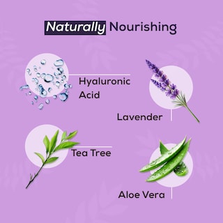 Foto 2 | Foto 2 | Limpiador Espumoso Para Párpados Noveha Con Aceite De Lavanda Y Árbol De Té - Venta Internacional.