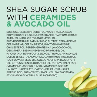 Foto 7 | Foto 7 | Exfoliante De Azúcar Dr. Teal's Con Ceramidas Y Aceite De Aguacate 560 Ml (x3) - Venta Internacional.