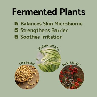 Foto 5 | Foto 5 | Crema Hidratante Nocturna Iunik Propolis Vitamin 60 Ml - Venta Internacional.