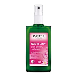Foto 1 | Foto 1 | Desodorante En Aerosol Weleda Wild Rose 24 Horas 100 Ml - Venta Internacional.
