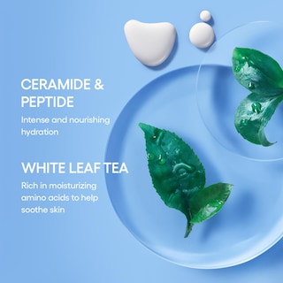 Foto 6 | Foto 6 | Tónico E Hidratante Laneige Cream Skin 320 Ml Con Ceramidas - Venta Internacional.