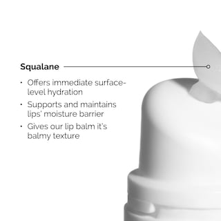 Foto 3 | Foto 3 | Bálsamo Labial The Ordinary Squalane + Aminoácidos 15 Ml - Venta Internacional.