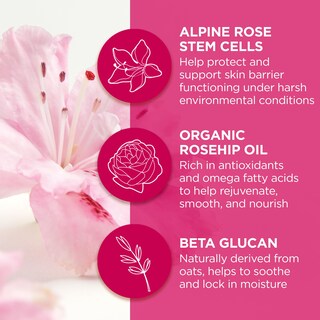 Foto 4 | Foto 4 | Mascarilla De Labios Andalou Naturals 1000 Roses Overnight 12 Ml Vegana - Venta Internacional.