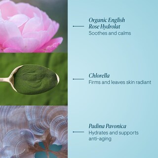 Foto 3 | Foto 3 | Crema Elemis Pro-collagen Rose Marine Hidratante Antiarrugas - Venta Internacional