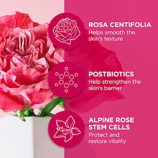 Foto 3 | Foto 3 | Crema De Noche Andalou Naturals 1000 Roses Fortificante 30 Ml - Venta Internacional.